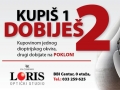 loris_1.jpg
