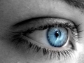 blue_eye_1.jpg