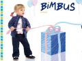 bimbusweb.jpg