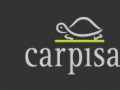 carpisa667.jpg