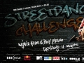 plakat-web590.jpg
